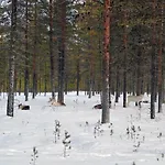 Шале Lapland Landscape With Nature View, Sauna, Fireplace & Kitchen, Yllaes, Aekaeslompolo, Borealis Village Экясломполо