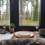 Lapland Landscape With Nature View, Sauna, Fireplace&kitchen, Ylläs, äkäslompolo, Borealis Village Lomamökit