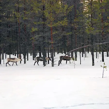 Lapland Landscape With Nature View, Sauna, Fireplace & Kitchen, Yllaes, Aekaeslompolo, Borealis Village 샬레 *
