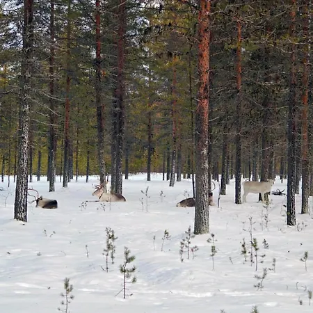 샬레 Lapland Landscape With Nature View, Sauna, Fireplace & Kitchen, Yllaes, Aekaeslompolo, Borealis Village Äkäslompolo