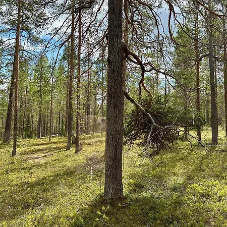 Lapland Landscape With Nature View, Sauna, Fireplace & Kitchen, Yllaes, Aekaeslompolo, Borealis Village 샬레 Äkäslompolo