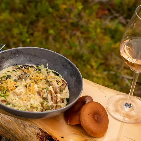 Lapland Landscape With Nature View, Sauna, Fireplace & Kitchen, Yllaes, Aekaeslompolo, Borealis Village 샬레