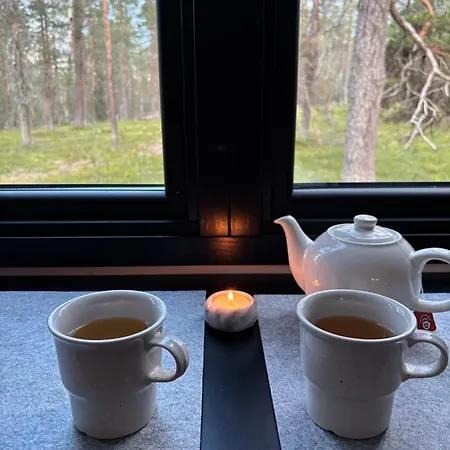 Lapland Landscape With Nature View, Sauna, Fireplace & Kitchen, Yllaes, Aekaeslompolo, Borealis Village *