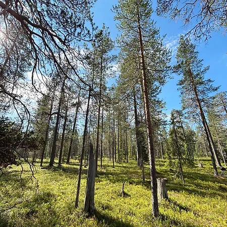 Lapland Landscape With Nature View, Sauna, Fireplace & Kitchen, Yllaes, Aekaeslompolo, Borealis Village