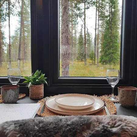 Lapland Landscape With Nature View, Sauna, Fireplace & Kitchen, Yllaes, Aekaeslompolo, Borealis Village Chalet