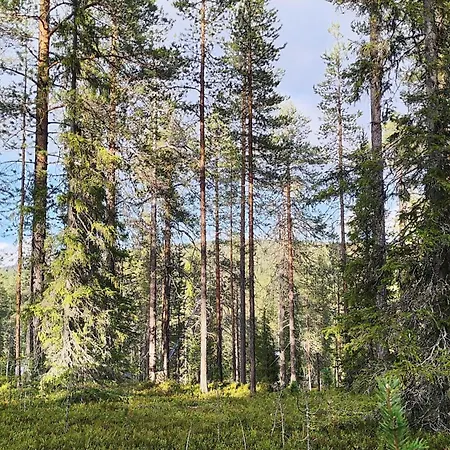 Chalet Lapland Landscape With Nature View, Sauna, Fireplace & Kitchen, Yllaes, Aekaeslompolo, Borealis Village