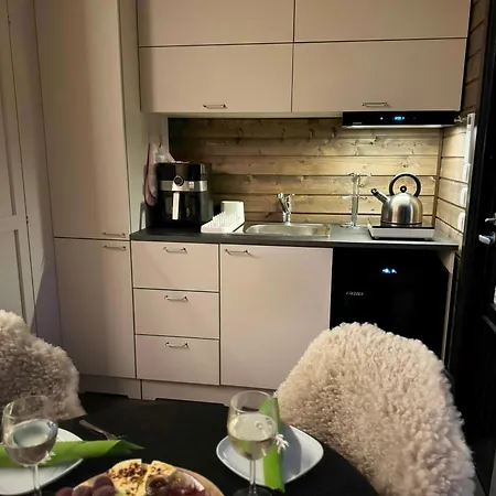 Chalet Lapland Landscape With Nature View, Sauna, Fireplace & Kitchen, Yllaes, Aekaeslompolo, Borealis Village *