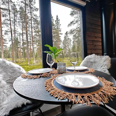 Lapland Landscape With Nature View, Sauna, Fireplace & Kitchen, Yllaes, Aekaeslompolo, Borealis Village Chalet