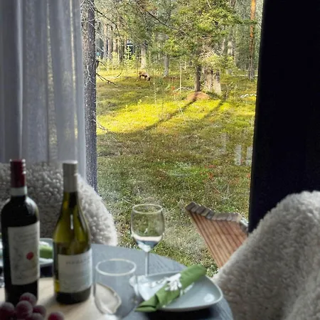 Lapland Landscape With Nature View, Sauna, Fireplace & Kitchen, Yllaes, Aekaeslompolo, Borealis Village *