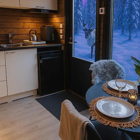 Borealis Village Xxl |sauna|wifi|yllaes|aurora *