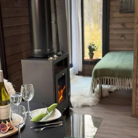 Chalet Borealis Village Xxl |sauna|wifi|yllaes|aurora