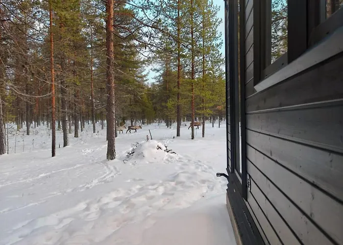 Lapland Landscape With Nature View, Sauna, Fireplace & Kitchen, Yllaes, Aekaeslompolo, Borealis Village Alpstuga Äkäslompolo