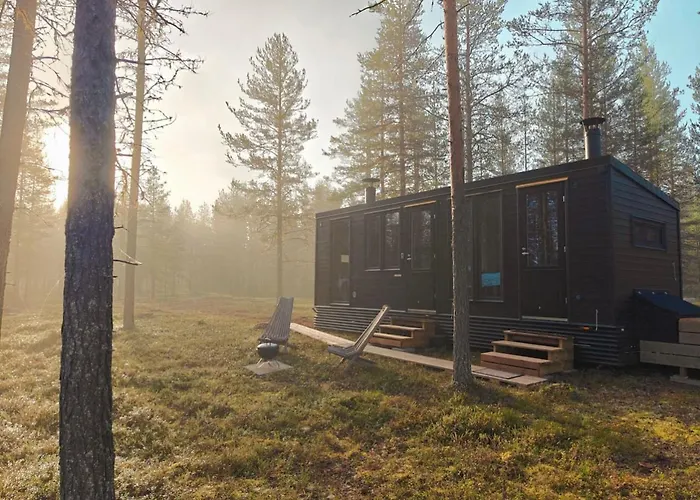 Lapland Landscape With Nature View, Sauna, Fireplace & Kitchen, Yllaes, Aekaeslompolo, Borealis Village Alpstuga *