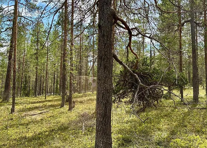Lapland Landscape With Nature View, Sauna, Fireplace & Kitchen, Yllaes, Aekaeslompolo, Borealis Village Alpstuga Äkäslompolo