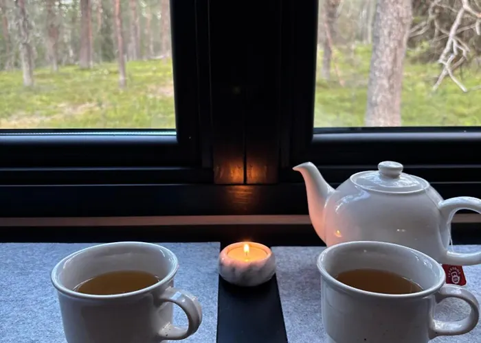 Lapland Landscape With Nature View, Sauna, Fireplace & Kitchen, Yllaes, Aekaeslompolo, Borealis Village *