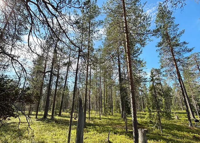 Lapland Landscape With Nature View, Sauna, Fireplace & Kitchen, Yllaes, Aekaeslompolo, Borealis Village